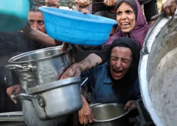 غزة-مباشر: الابادة متواصلة ب 43 شهيدا و 100 إصابة اليوم السبت