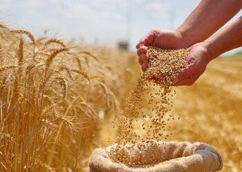 ايام قرطاج المسرحية: فتح باب الترشح للمشاركة في  الدورة 26