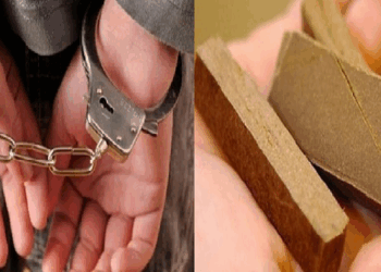 قفصة: الإطاحة بشبكة تنشط في ترويج المخدرات بحي النور