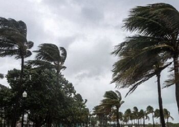 الطقس الليلة: حرارة في انخاض طفيف ورياح قوية في كامل البلاد