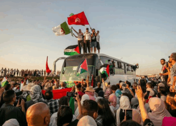 إشارات أحمد الحمروني : من التاريخ إلى القضيّة