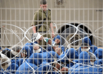 غزة: شهادات صادمة عن تعذيب الأسرى في السجون الاسرائيلية