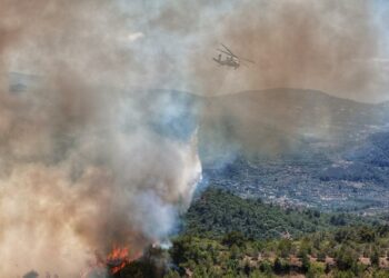 للسيطرة على حرائق اللّاذقية…سوريا تطلب مساعدة عاجلة من الاتحاد الأوروبي