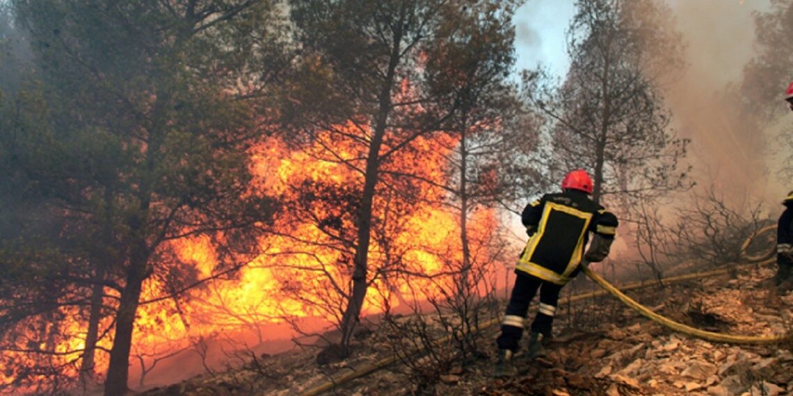 سليانة : الحماية المدنية تنجح في السيطرة على ثلاث حقائق جبليّة