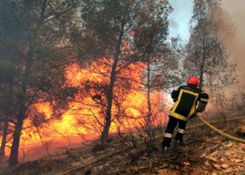 سليانة : الحماية المدنية تنجح في السيطرة على ثلاث حقائق جبليّة