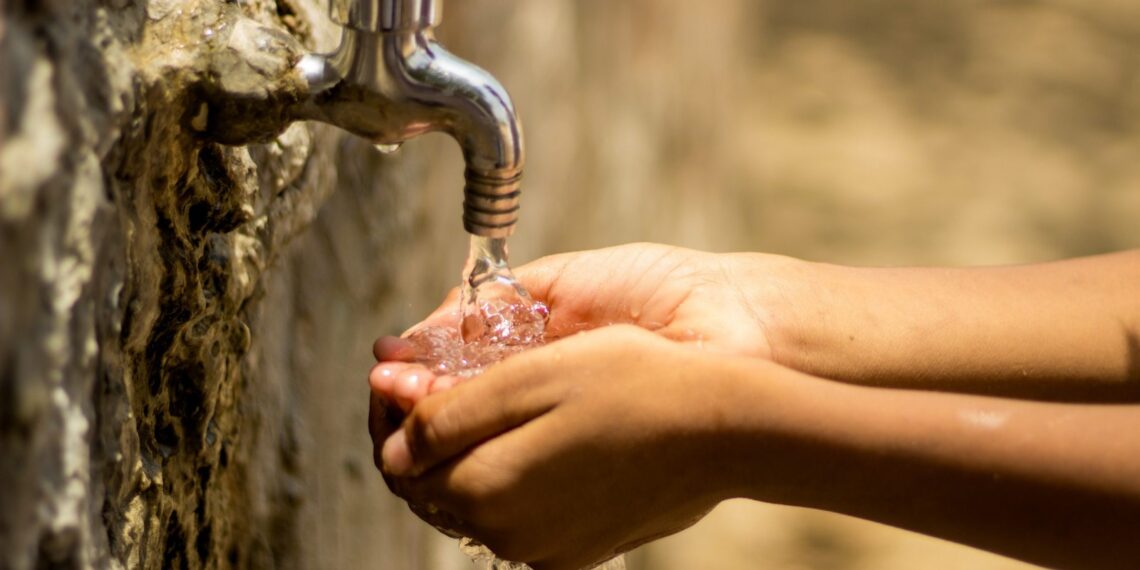 بئر مشارقة-زغوان: جثة شاة في عين يحرم 20 عائلة من التزوّد بالماء الصّالح للشرب
