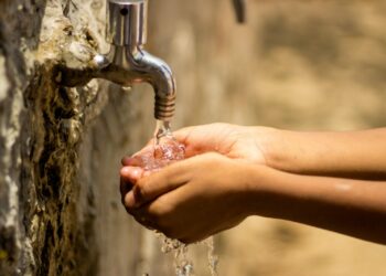 بئر مشارقة-زغوان: جثة شاة في عين يحرم 20 عائلة من التزوّد بالماء الصّالح للشرب