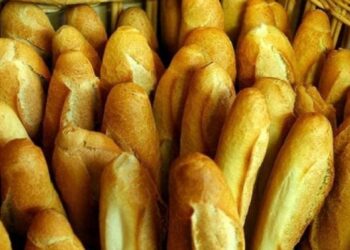 صحّة: تونس تتجه نحو تقليص مادة الملح في الخبز بنسبة 30 ℅