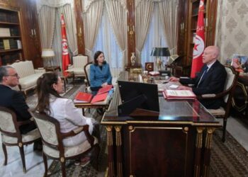 رئيس الجمهورية: تونس تعجّ بالخيرات والثروات ،ولن تكون لقمة سائغة للوبيات ولأعوانهم