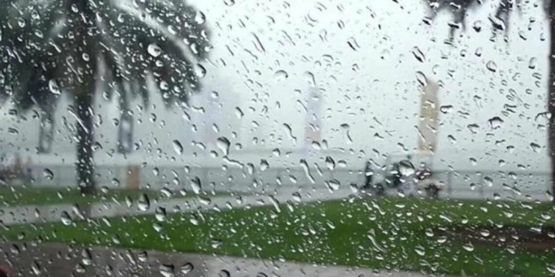 أعلاها في ولاية الكاف: كميات الامطار خلال ال24 ساعة الماضية.