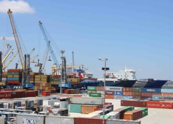 اقتصاد: تراجع مبيعات زيت الزيتون تحدّ من فائض الميزان التجاري