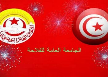 يشمل الدوواين والمنشآت والإدارات: الجامعة العامّة للفلاحة تقرر إضرابا قطاعيا ليوم 17 جويلية