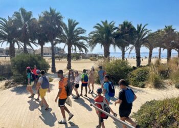 ينظمها التضامن الاجتماعي: مصيف وطني ل 600 طفل من أبناء العائلات المعوزة