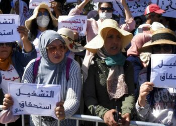 اقتصاد: انخفاض نسبة البطالة الى حدود 15،3 بالمائة خلال الثلاثي الأول من 2025