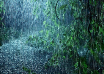 الأحوال الجويّة: كميات الأمطار خلال الأربع والعشرين ساعة الماضية