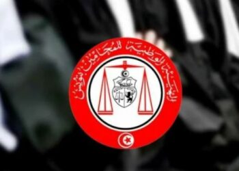 انتخاب عميد المحامين: 9 ترشحات من بينهم امرأة واحدة