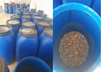 زغوان: حجز 735 كغ من الاسماك الفاسدة كانت معدة للتخزين