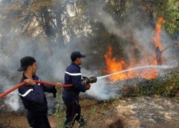 هذه الصائفة: الحماية المدنية قامت ب52 ألف تدخّل  بكامل البلاد