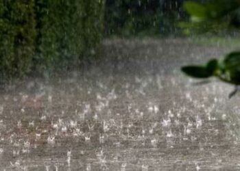 الطقس الليلة: أمطار بالمناطق الشرقية وحرارة بين 23 و34 درجة