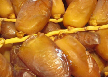 اقتصاد: تراجع قيمة صادرات التمور بنسبة 3،8 خلال التسعة أشهر الأولى من موسم 2024-2025