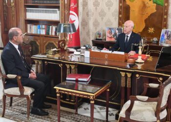 رئيس الجمهورية يشدد على ضرورة تجاوز الصعوبات لإنجاز المشاريع المعطلة خاصة منها المتعلقة بالبنية التحتية