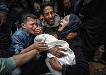 غزة-مباشر: ارتفاع حصيلة الإبادة المتواصلة إلى 61 ألف و369 شهيدا و 152 ألفا و 850 جريحا