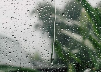 كميات الأمطار في عدد من الولايات وخلال ال24 ساعة الماضية