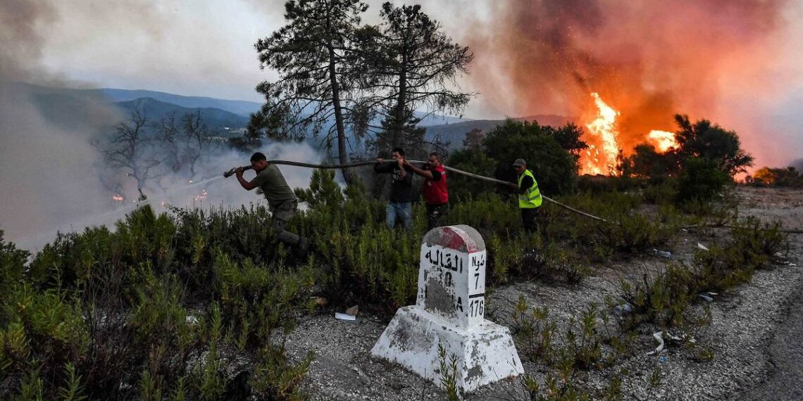 الإدارة العامة للغابات: نصف الحرائق تحدث بين منتصف النهار والسادسة مساءًا
