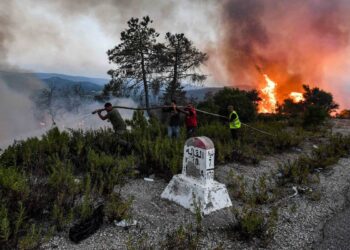 الإدارة العامة للغابات: نصف الحرائق تحدث بين منتصف النهار والسادسة مساءًا