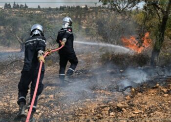 كسرى-سليانة: السيطرة على حريق ب بغابة جبل فروحة