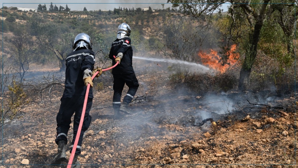 كسرى-سليانة: السيطرة على حريق ب بغابة جبل فروحة