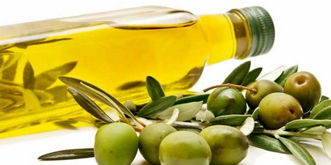 زيت الزّيتون: ارتفاع للكميات المصدّرة وتراجع للقيمة خلال التّسعة أشهر الأولى من 2025