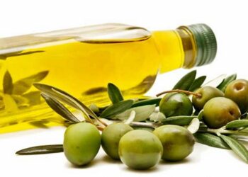 زيت الزّيتون: ارتفاع للكميات المصدّرة  وتراجع للقيمة خلال التّسعة أشهر الأولى من 2025