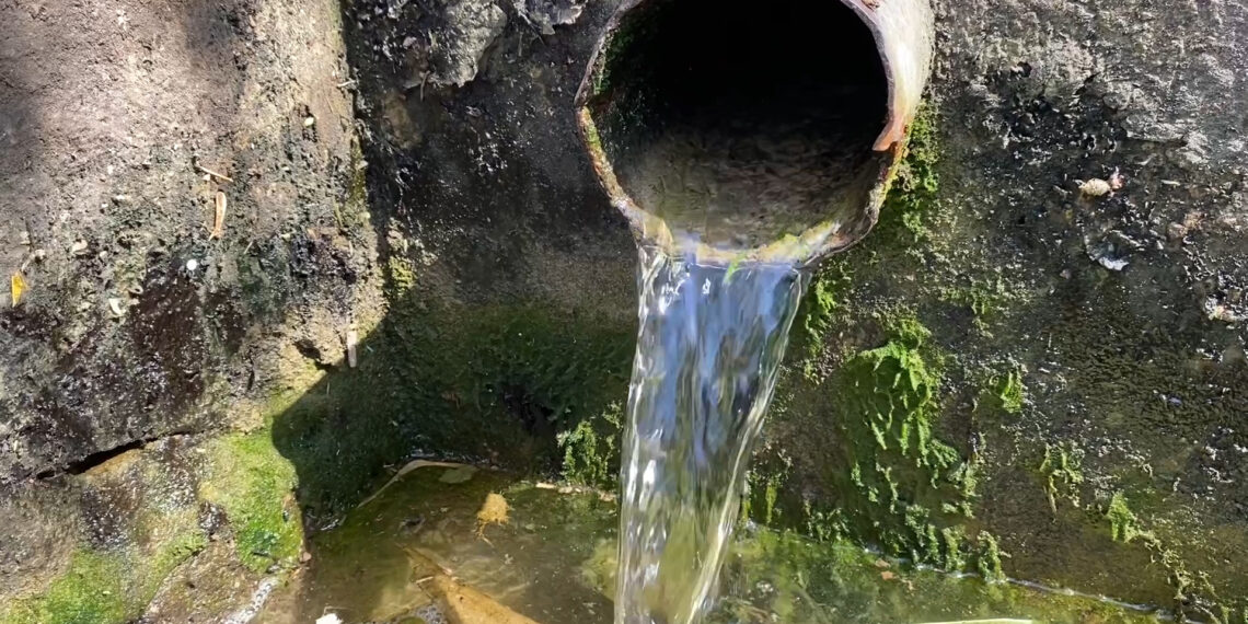 تالة-القصرين: تحاليل جديدة لمزيد التثبّت والتحرّي من مياه عين أحمد وأم الثعالب بعد منع استعمالها