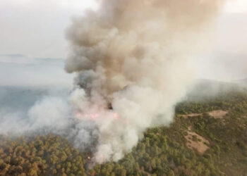 سليانة: السيطرة على حريق جبل الفراشيش ولا خسائر بشرية