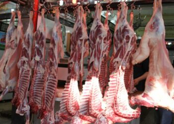 خرجت عن السيطرة: أسعار لحوم الضأن تجاوزت 60 د للكغ الواحد