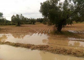 أهمّها بالوسط والجنوب: كميّات الأمطار خلال ال24 ساعة الماضية