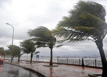 الطقس الليلة: أمطار غزيرة في المناطق الشرقية، رياح وحرارة بين 24 و35 درجة