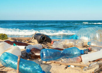 النفايات البلاستيكية تغزو شواطئنا وخير الدين والمهدية الأكثر تلوّثا