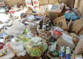 هيئة السلامة الصحية: حجز 25 طنا من المواد الغذائية الفاسدة