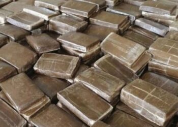 سوسة: الحرس الوطني يحجز 400 كلغ من الزطلة بأحد الموانئ