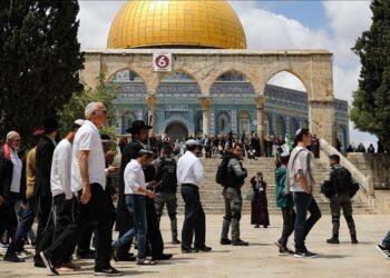 القدس: مستوطنون يقتحمون المسجد الأقصى تحت حماية قوات الاحتلال