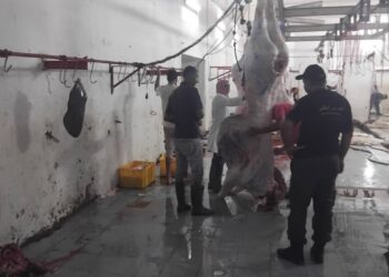 المنستير-بن عروس-أريانة: حجز 3 أطنان من اللحوم الفاسدة