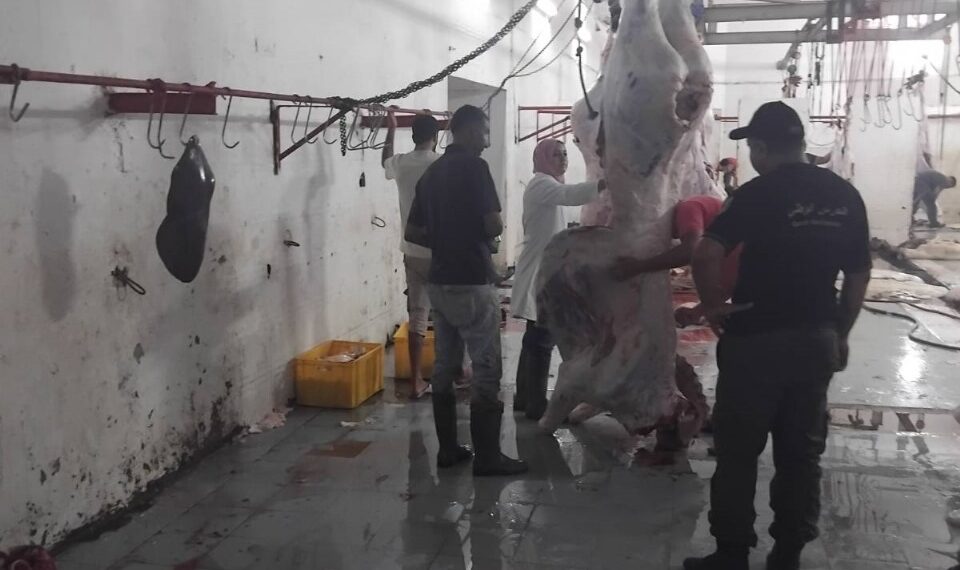 المنستير-بن عروس-أريانة: حجز 3 أطنان من اللحوم الفاسدة