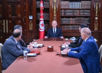 رئيس الجمهورية يؤكّد ضرورة تفكيك شبكات المصرية والإحتكار