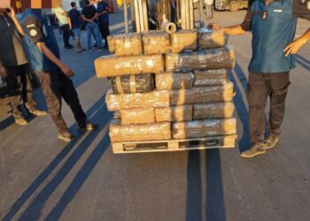 ميناء رادس: مصالح الديوانة تحبط محاولة تهريب أكثر من 570 كغ  من مخدّر “الزطلة”