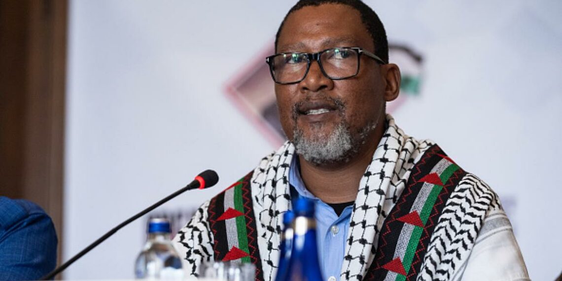 لكسر الحصار عن غزة: حفيد مانديلا ينضمّ إلى أسطول الصّمود