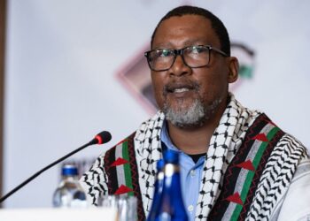 لكسر الحصار عن غزة: حفيد مانديلا ينضمّ إلى أسطول الصّمود