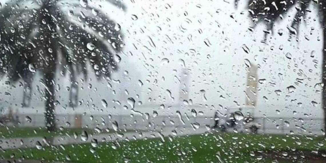 الليلة: تواصل نزول الأمطار بالوسط وبجهتي صفاقس وقابس وحرارة مرتفعة نسبيا