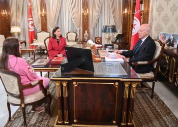 رئيس الجمهورية: مشروع قانون المالية يجب أن يعكس الدّور الاجتماعي للدّولة